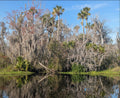 St. Johns River photo set