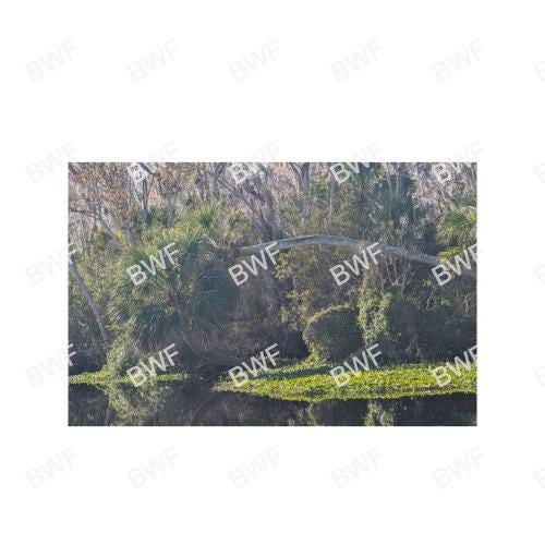 St. Johns River photo set