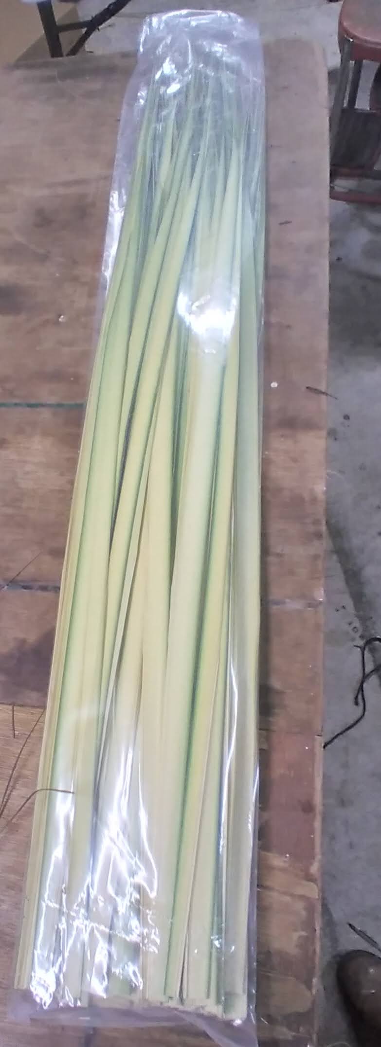 Fresh Florida Palm Strips - 100 Count Bag for Palm Sunday Crosses & Crafts