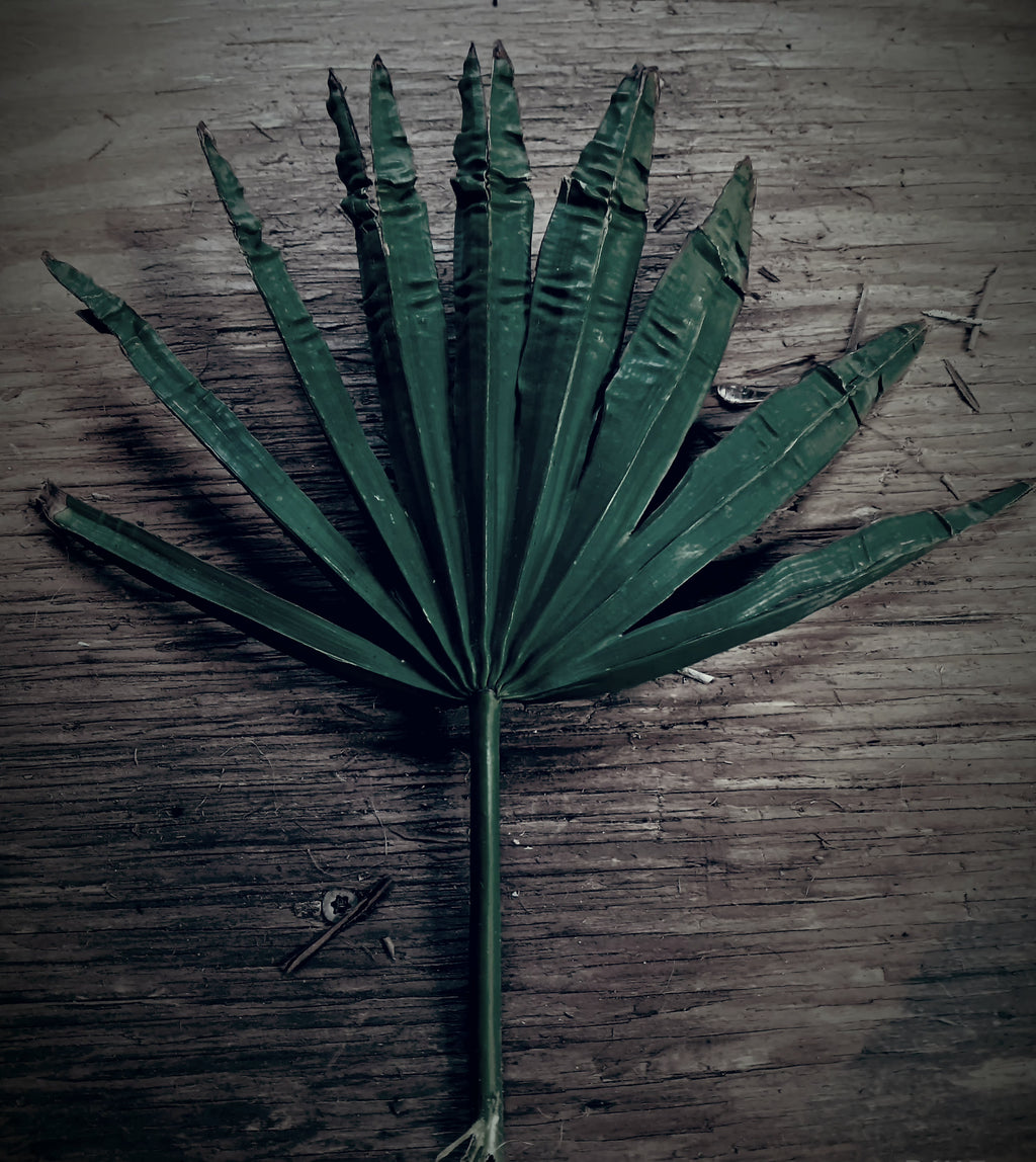 Bottes de feuilles de palmier palmetto de Floride fraîche | Camouflage naturel pour affûts de chasse