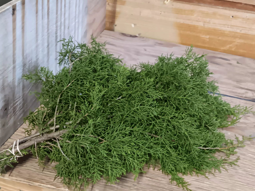 Fresh Eastern Red Cedar Bunches | Florida Evergreen for Wreaths & Holiday Decor