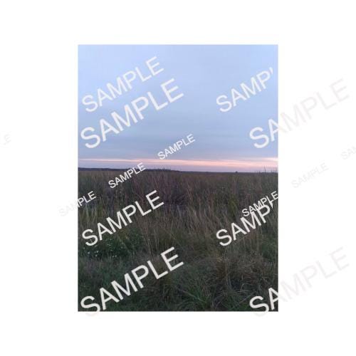 Florida Sunsets on the St. Johns River