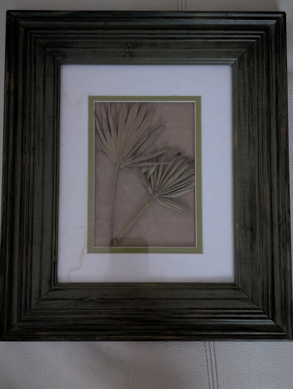 Rare Botanical Floral- Authentic Miniature Palmetto Fronds