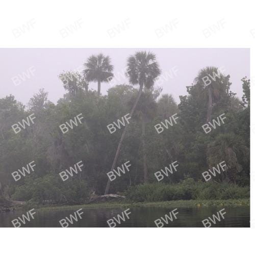 St. Johns River photo set