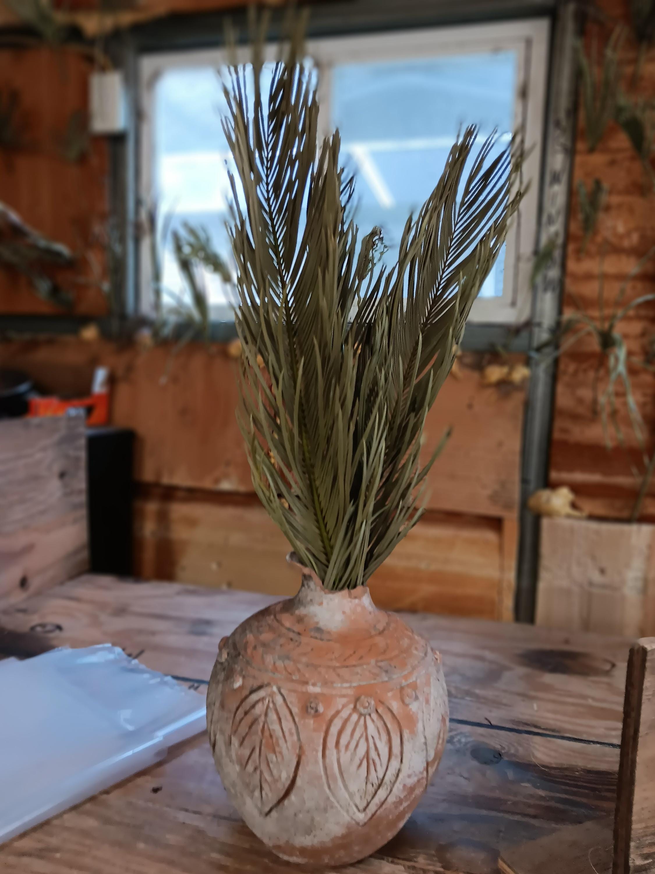Tiges d'éventail de Sagou | Décoration de mariage séchée bohème et tropicale