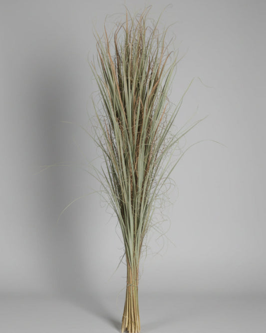dried tall sabal palm strips