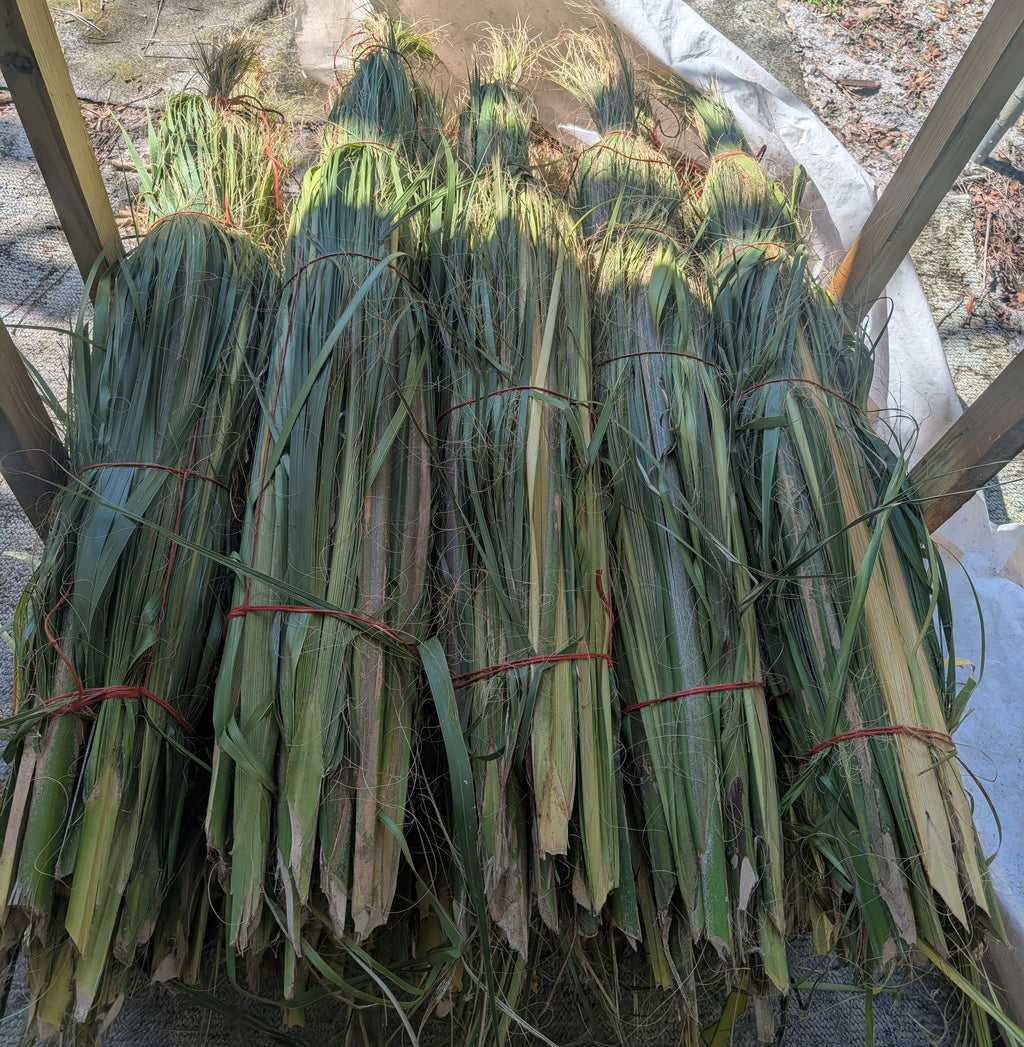 Large Palm Buds (25 Count)