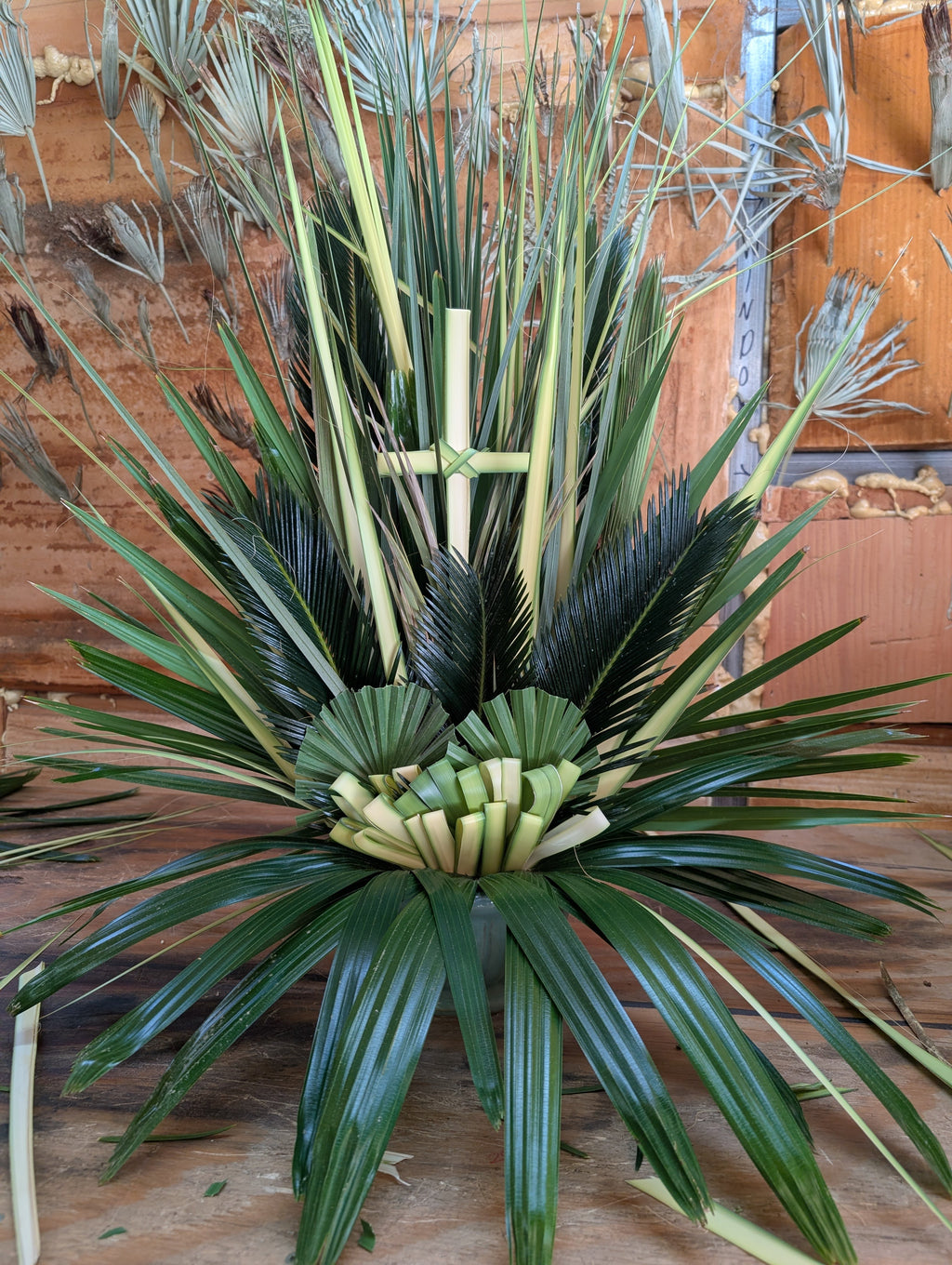Cœurs de palmier frais de Floride | 100 pièces