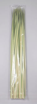 Fresh Florida Palm Strips - 100 Count Bag for Palm Sunday Crosses & Crafts