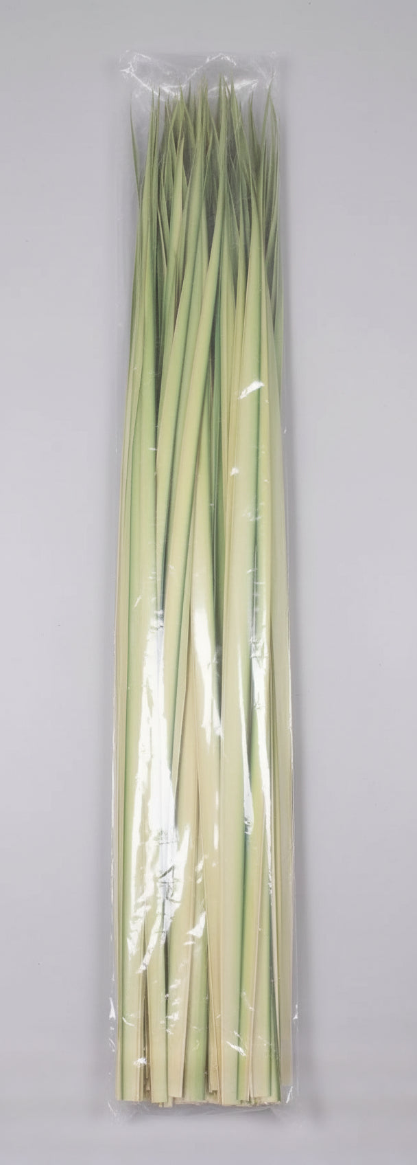 Fresh Florida Palm Strips - 100 Count Bag for Palm Sunday Crosses & Crafts