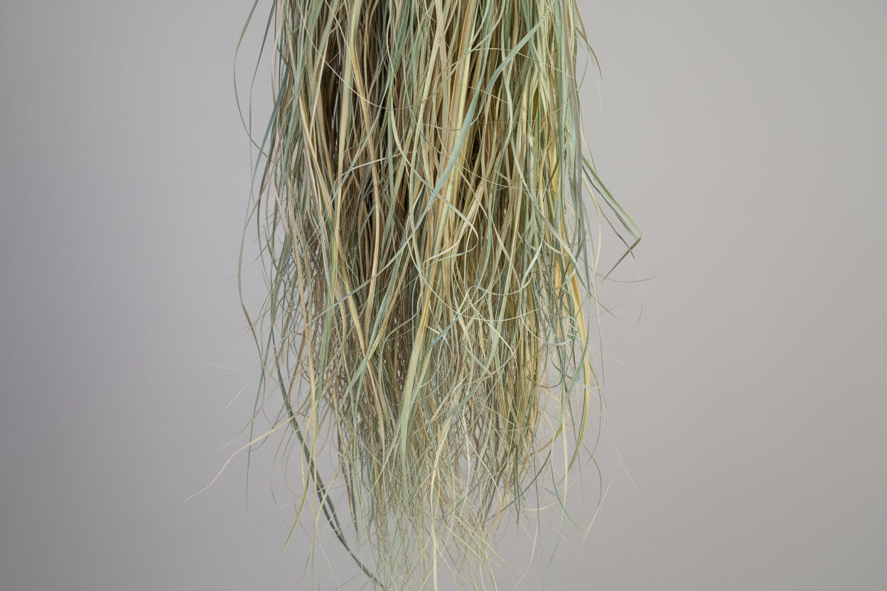 hanging shredded grass
