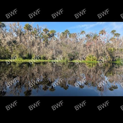 St. Johns River photo set
