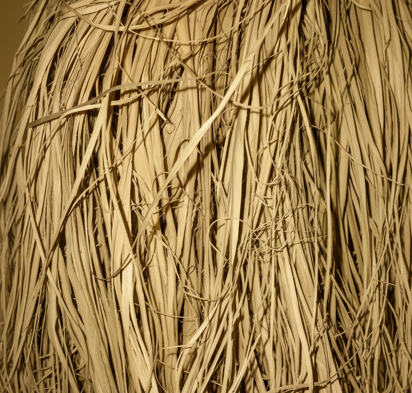 Close-up of dry grass or straw with a blurred background