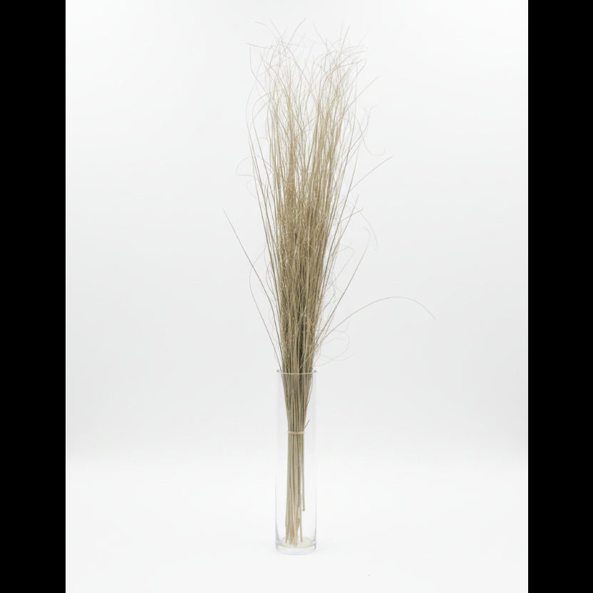 Dried palm leaf in a clear glass vase