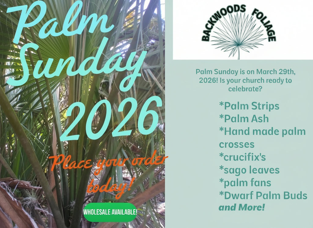 Promotional flyer for Backwoods Foliage's Palm Sunday products for 2026 with palm leaves and text.