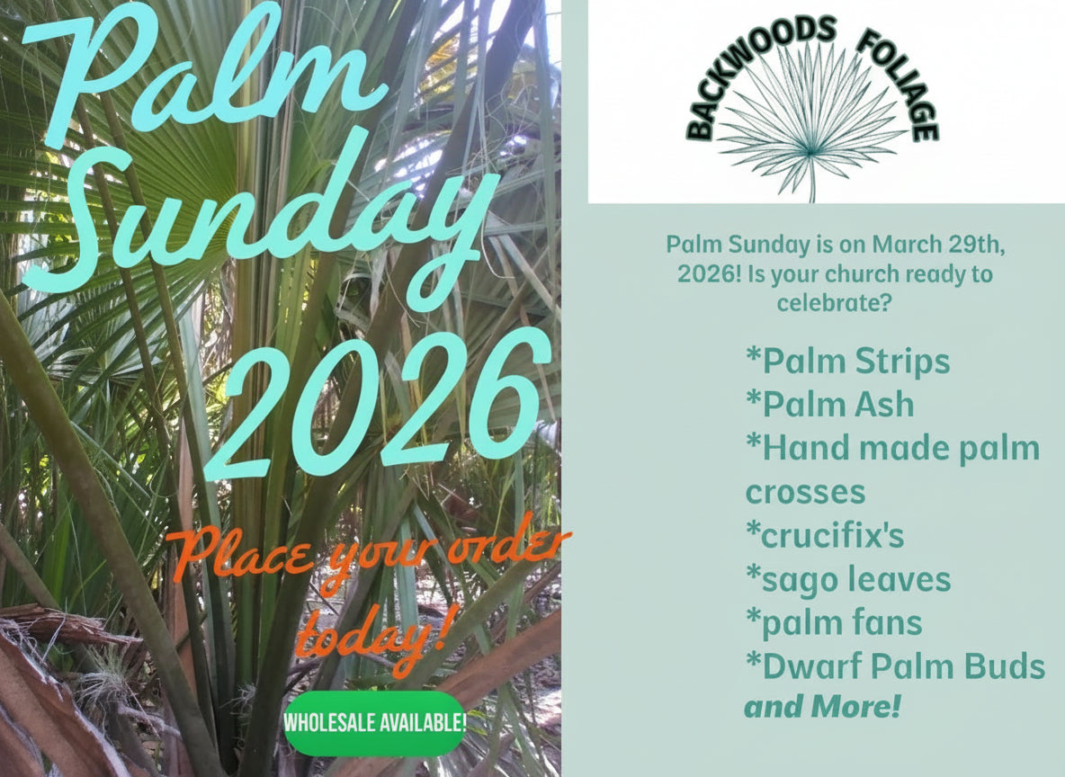 Promotional flyer for Backwoods Foliage's Palm Sunday products for 2026 with palm leaves and text.