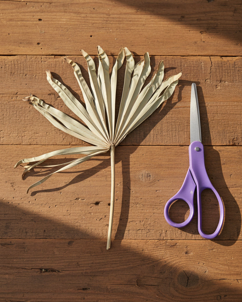 Purple-handled scissors and a dried plant leaf on a white surface