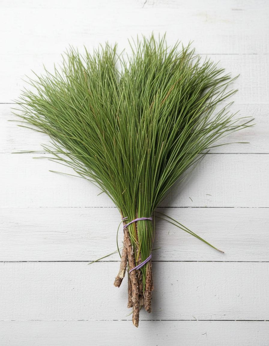Pointes de pin de Floride frais à longues aiguilles | Couronnes de Noël, guirlandes et décorations saisonnières