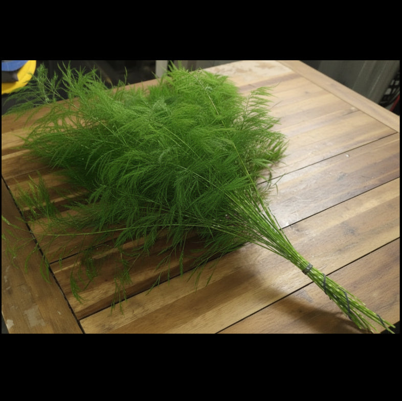 tree fern bunch laying on wooden surface